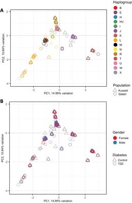 Association of mitochondrial haplogroup H with reduced risk of type 2 Diabetes among Gulf Region Arabs